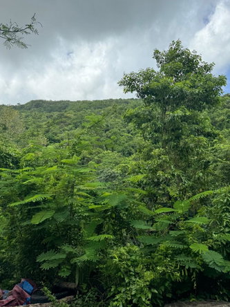 Sixth image of Lots 2 & 3 Lloyds Road in Lloyds, St. Thomas, Jamaica - property is For Sale