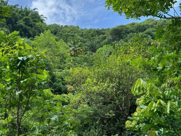 First image of Lots 2 & 3 Lloyds Road in Lloyds, St. Thomas, Jamaica - property is For Sale