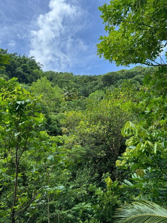 First image of Lots 2 & 3 Lloyds Road in Lloyds, St. Thomas, Jamaica - property is For Sale