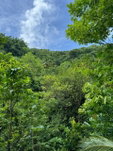 First image of Lots 2 & 3 Lloyds Road in Lloyds, St. Thomas, Jamaica - property is For Sale
