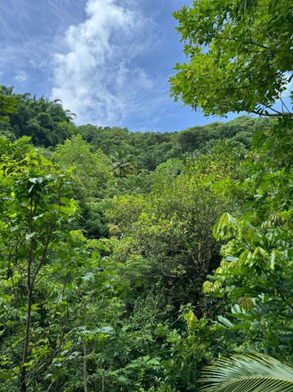 First image of Lots 2 & 3 Lloyds Road in Lloyds, St. Thomas, Jamaica - property is For Sale