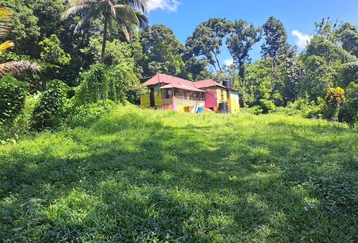Second image of New Mills Bethel Town in Bethel Town, Westmoreland, Jamaica - property is For Sale