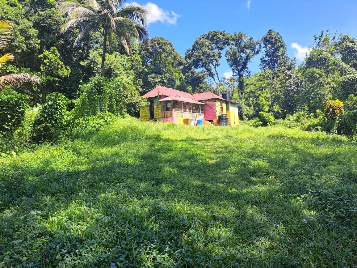 Second image of New Mills Bethel Town in Bethel Town, Westmoreland, Jamaica - property is For Sale