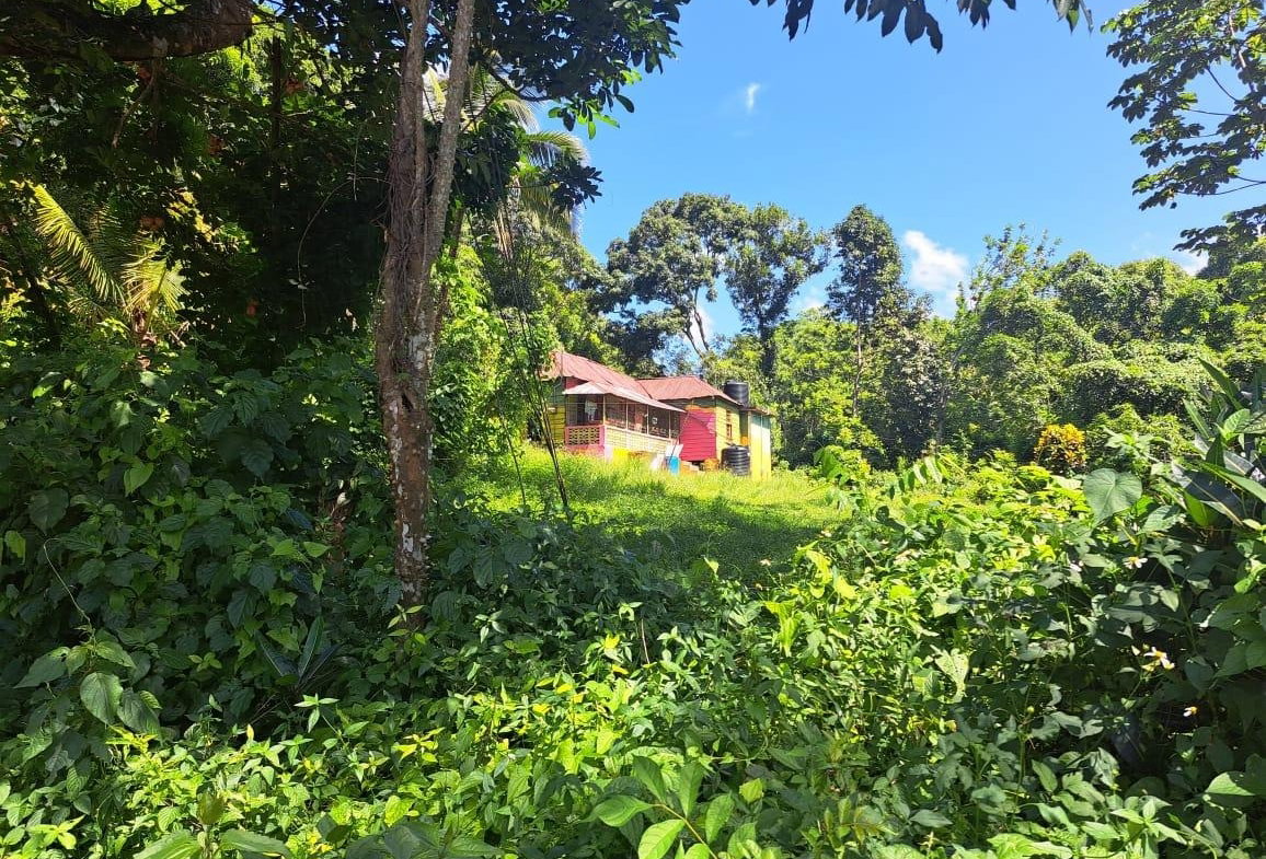 Third image of New Mills Bethel Town in Bethel Town, Westmoreland, Jamaica - property is For Sale