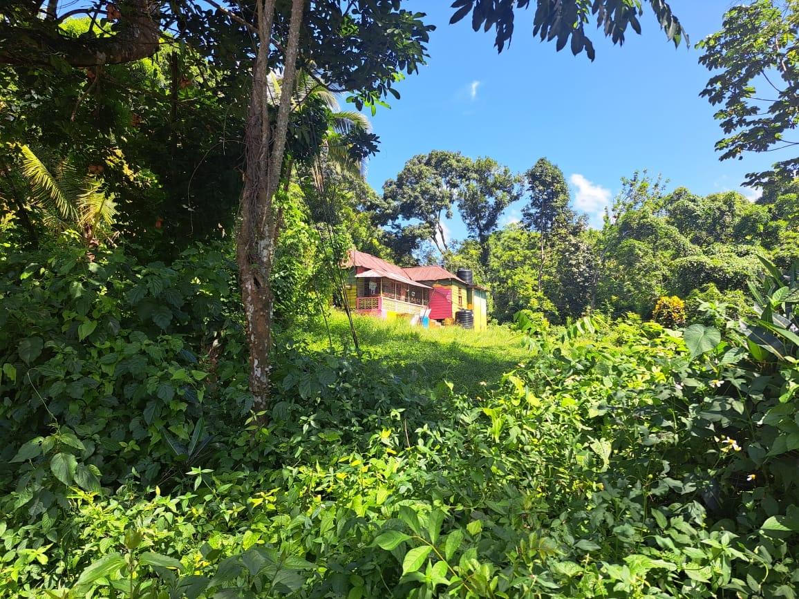 Third image of New Mills Bethel Town in Bethel Town, Westmoreland, Jamaica - property is For Sale