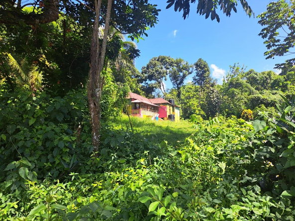 Third image of New Mills Bethel Town in Bethel Town, Westmoreland, Jamaica - property is For Sale