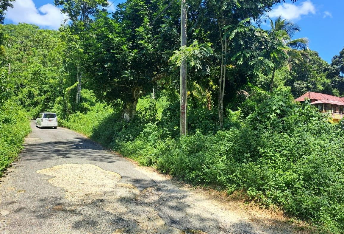 Fifth image of New Mills Bethel Town in Bethel Town, Westmoreland, Jamaica - property is For Sale
