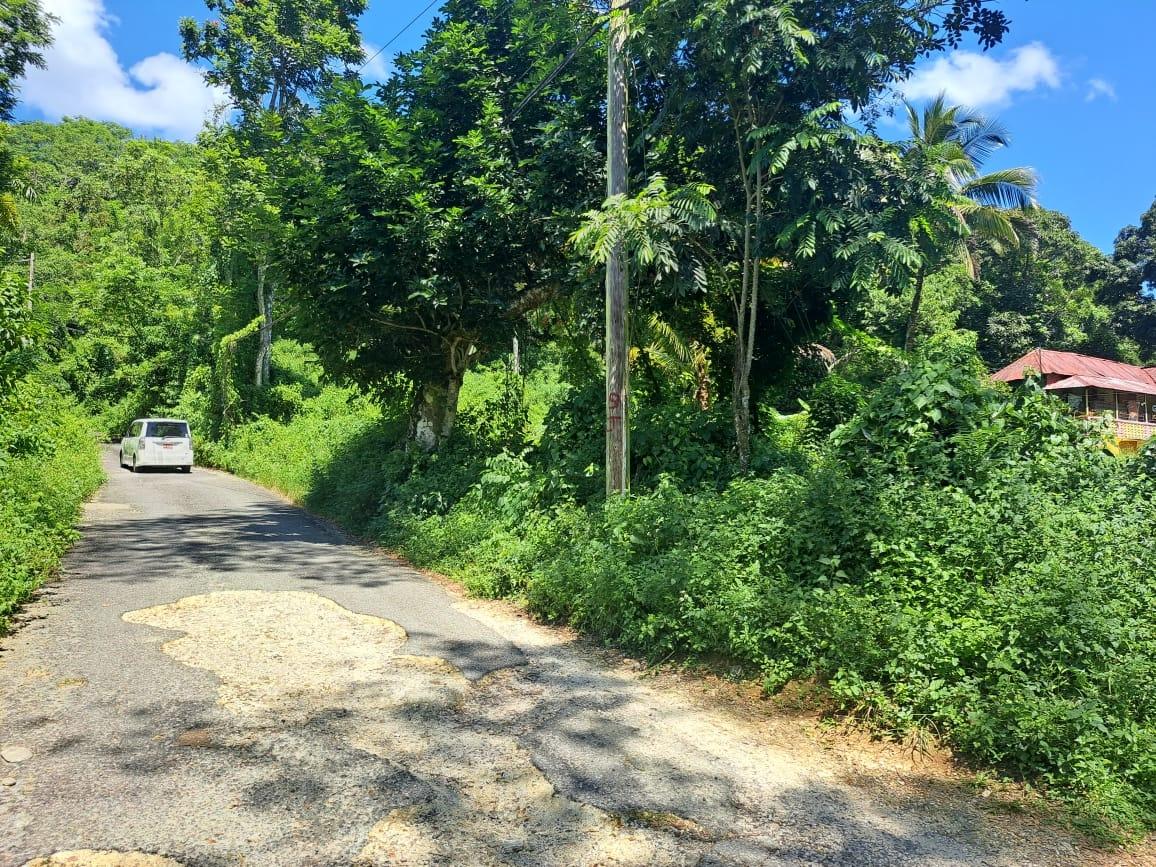 Fifth image of New Mills Bethel Town in Bethel Town, Westmoreland, Jamaica - property is For Sale