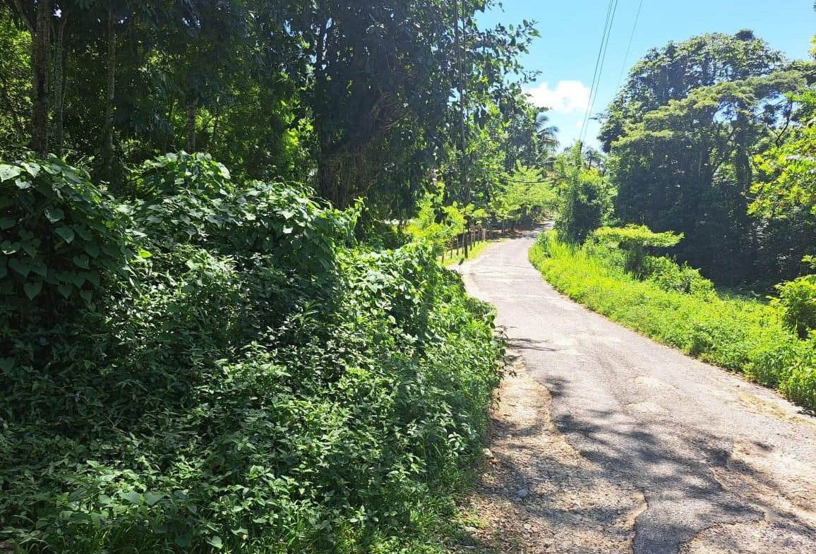 Sixth image of New Mills Bethel Town in Bethel Town, Westmoreland, Jamaica - property is For Sale