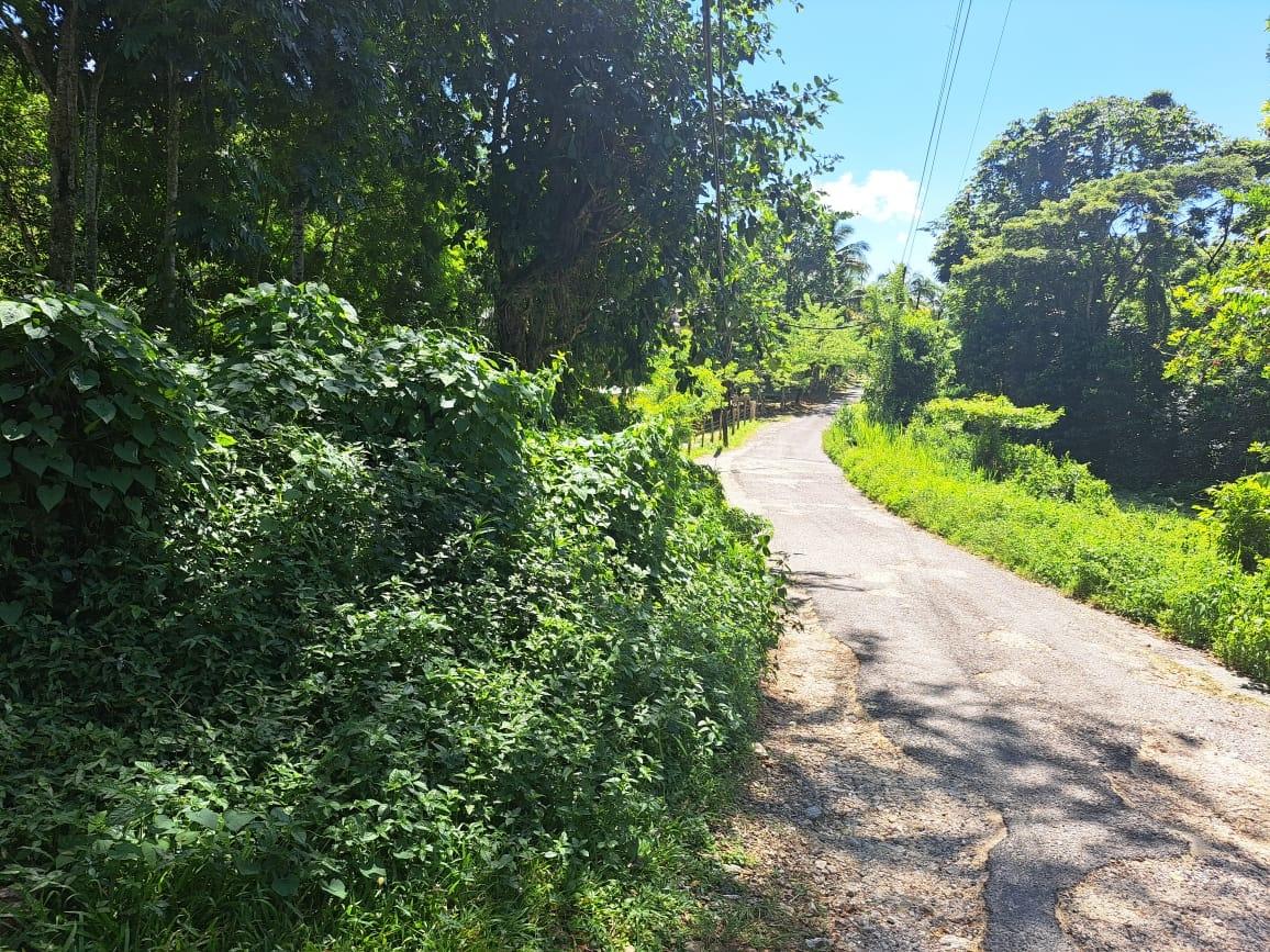 Sixth image of New Mills Bethel Town in Bethel Town, Westmoreland, Jamaica - property is For Sale