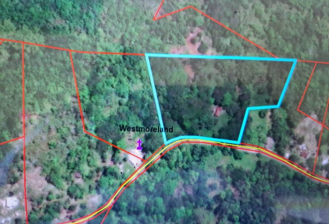 Eighth image of New Mills Bethel Town in Bethel Town, Westmoreland, Jamaica - property is For Sale