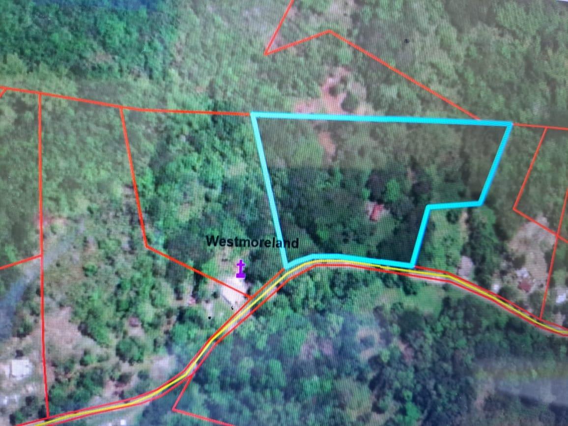 Eighth image of New Mills Bethel Town in Bethel Town, Westmoreland, Jamaica - property is For Sale