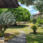 First image of 26-60 Hope Road in Kingston 6, St. Andrew, Jamaica - property is For Sale