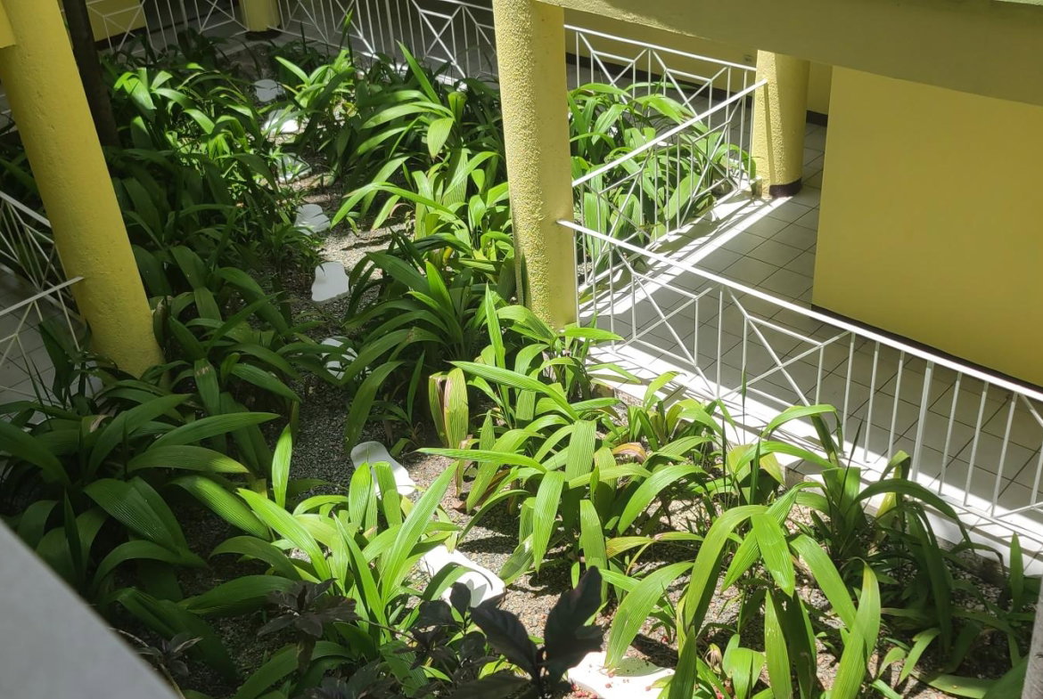 Tenth image of 9-10 Central Avenue in Kingston 10, St. Andrew, Jamaica - property is For Sale