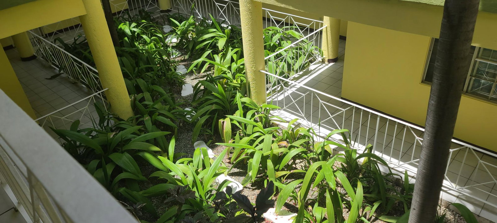 Spacious-1-Bedroom-Apartment-for-Sale-in-Sunbury-Apartments-St.-Andrew Tenth image of 9-10 Central Avenue in Kingston 10, St. Andrew, Jamaica - property is For Sale