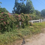 First image of Cockburn Avenue in Cockburn Gardens, St. Andrew, Jamaica - property is For Sale