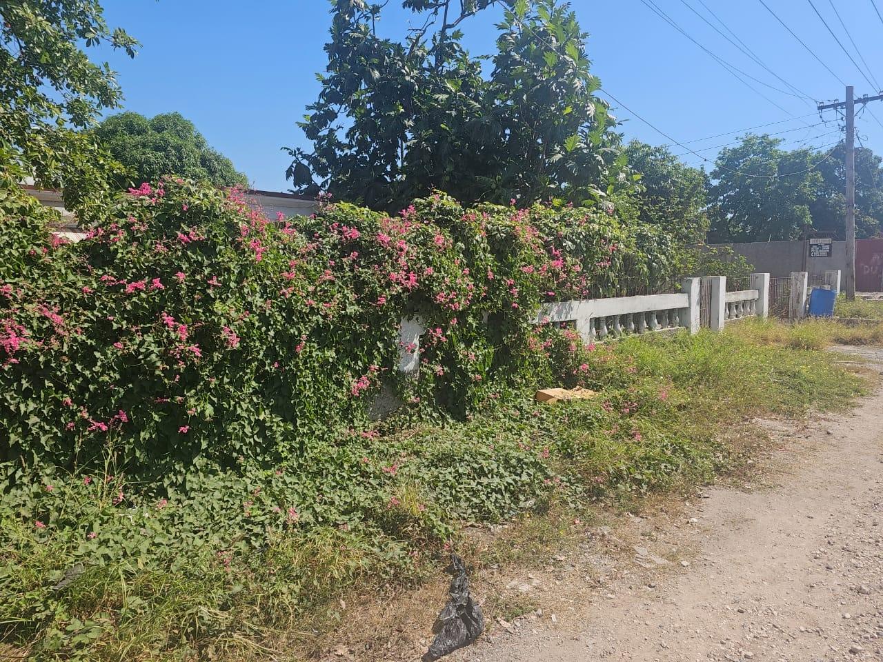 First image of Cockburn Avenue in Cockburn Gardens, St. Andrew, Jamaica - property is For Sale