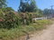 First image of Cockburn Avenue in Cockburn Gardens, St. Andrew, Jamaica - property is For Sale