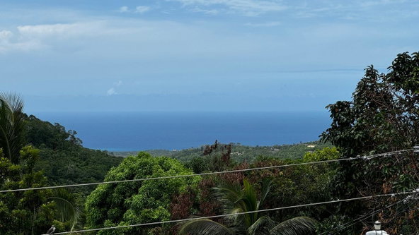 Eleventh image of Lime Hall, St. Ann in Lime Hall, St. Ann, Jamaica - property is For Sale