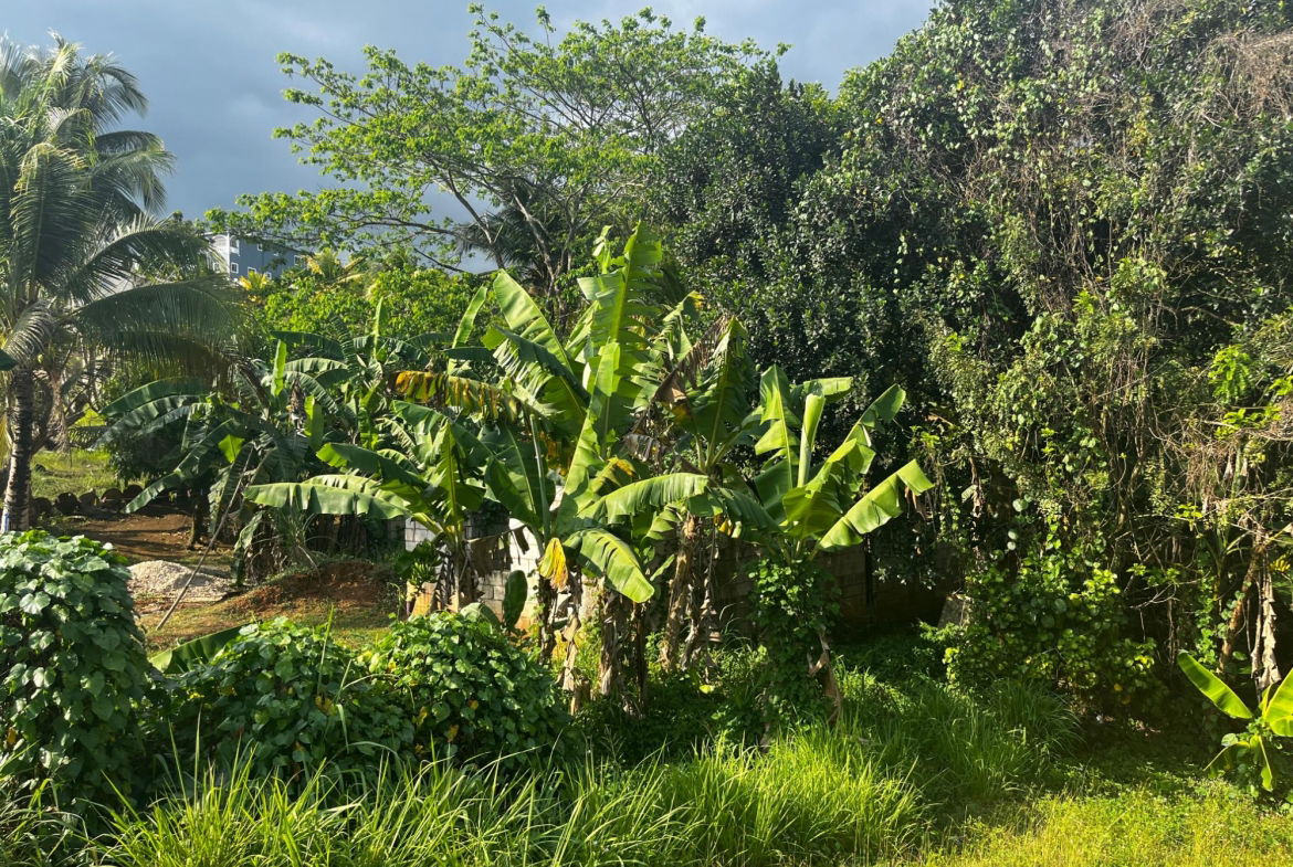 Eighteenth image of Part of Wallens Linstead, in Linstead, St. Catherine, Jamaica - property is For Sale