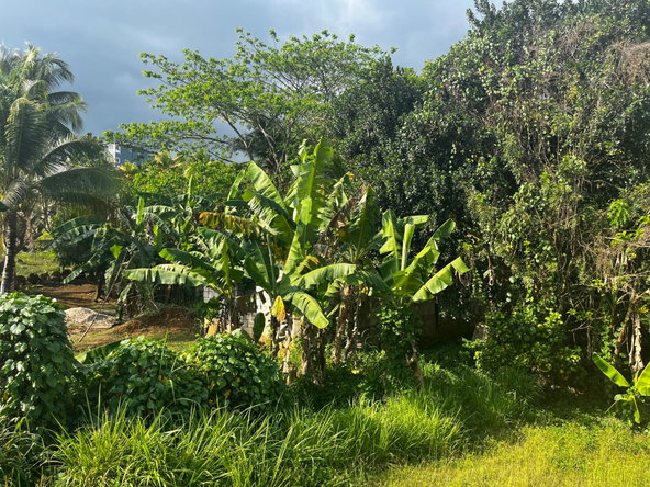 Eighteenth image of Part of Wallens Linstead, in Linstead, St. Catherine, Jamaica - property is For Sale
