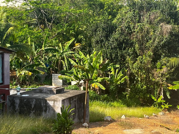 Nineteenth image of Part of Wallens Linstead, in Linstead, St. Catherine, Jamaica - property is For Sale