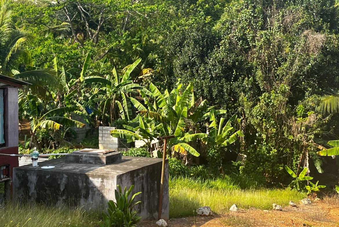 Twenty-First image of Part of Wallens Linstead, in Linstead, St. Catherine, Jamaica - property is For Sale