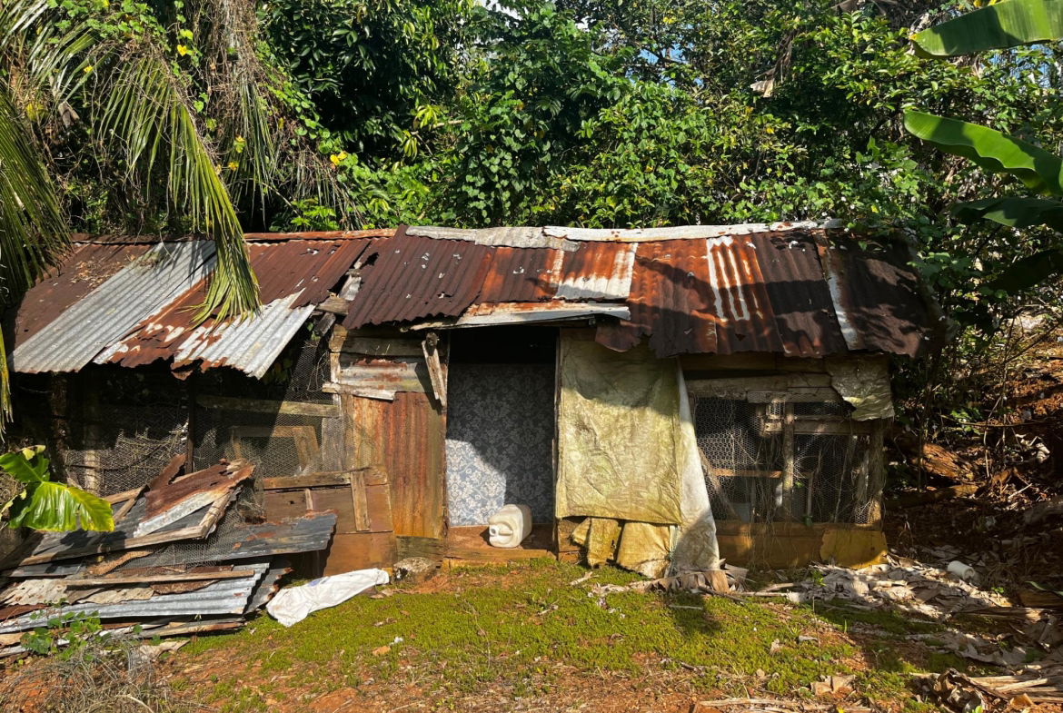 Twenty-Second image of Part of Wallens Linstead, in Linstead, St. Catherine, Jamaica - property is For Sale
