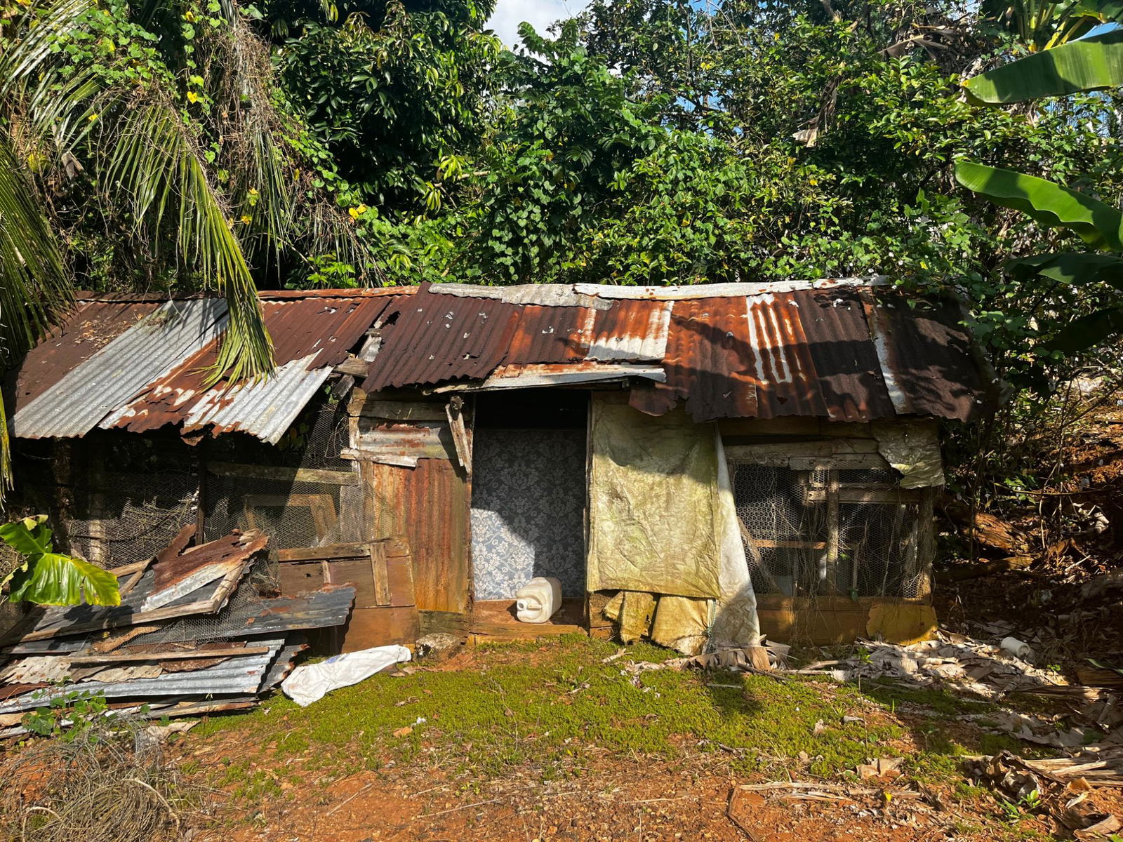 Twenty-Second image of Part of Wallens Linstead, in Linstead, St. Catherine, Jamaica - property is For Sale