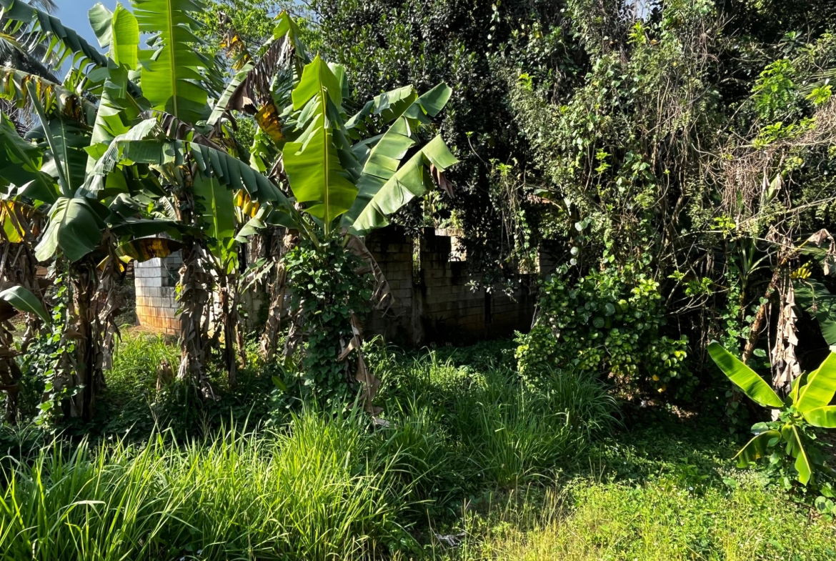 Twenty-Fourth image of Part of Wallens Linstead, in Linstead, St. Catherine, Jamaica - property is For Sale