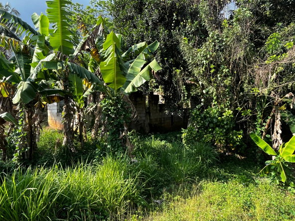 Twenty-Fourth image of Part of Wallens Linstead, in Linstead, St. Catherine, Jamaica - property is For Sale