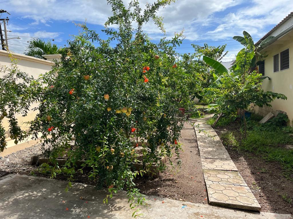Sixteenth image of 2 Biscayne Close in Kingston 8, St. Andrew, Jamaica - property is For Rent