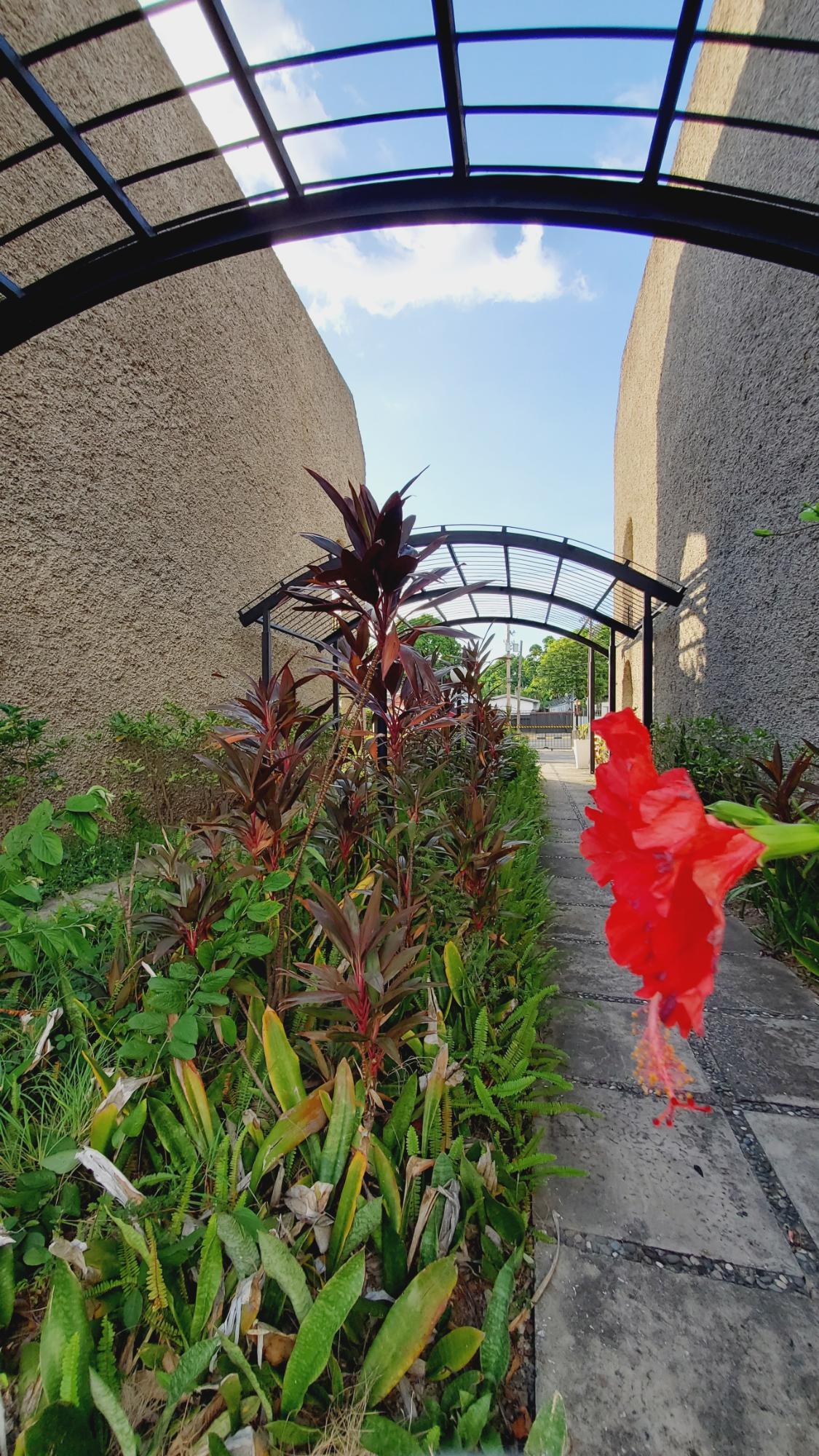 Spacious-2-Bedroom-Apartment-for-Rent-in-Gated-Community-Kingston-6 Twenty-Eighth image of B7-65-67 Hope Road in Kingston 6, St. Andrew, Jamaica - property is For Rent