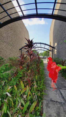 Twenty-Eighth image of B7-65-67 Hope Road in Kingston 6, St. Andrew, Jamaica - property is For Rent