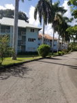 First image of F301-302- Rio Blanco Apartments, wh in White River, St. Mary, Jamaica - property is For Rent