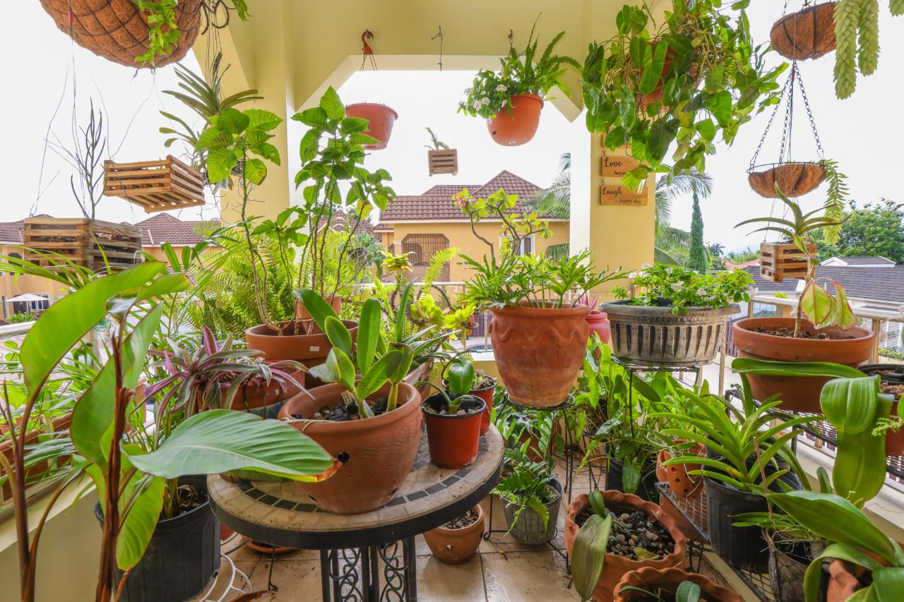 Fourteenth image of 8-13 Norbrook Road in Kingston 8, St. Andrew, Jamaica - property is For Sale