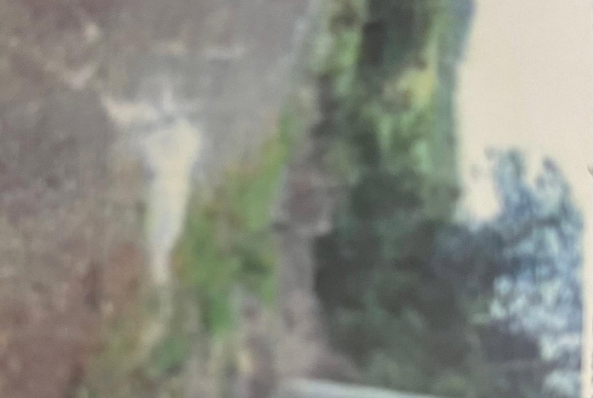 Fourteenth image of 23 Glendon Circle, Hope Past in Hope Pastures, St. Andrew, Jamaica - property is For Rent