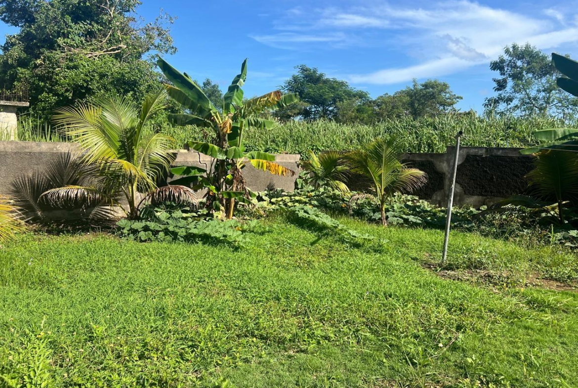 Eighth image of 887 Bogue Village, Agua Place in Bogue Village, St. James, Jamaica - property is For Rent