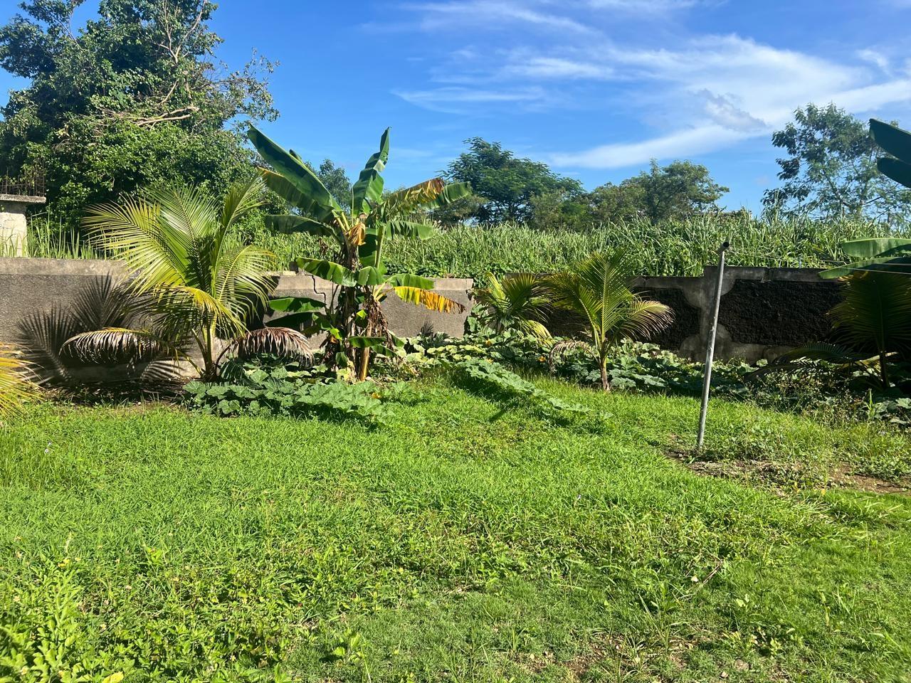 Eighth image of 887 Bogue Village, Agua Place in Bogue Village, St. James, Jamaica - property is For Rent
