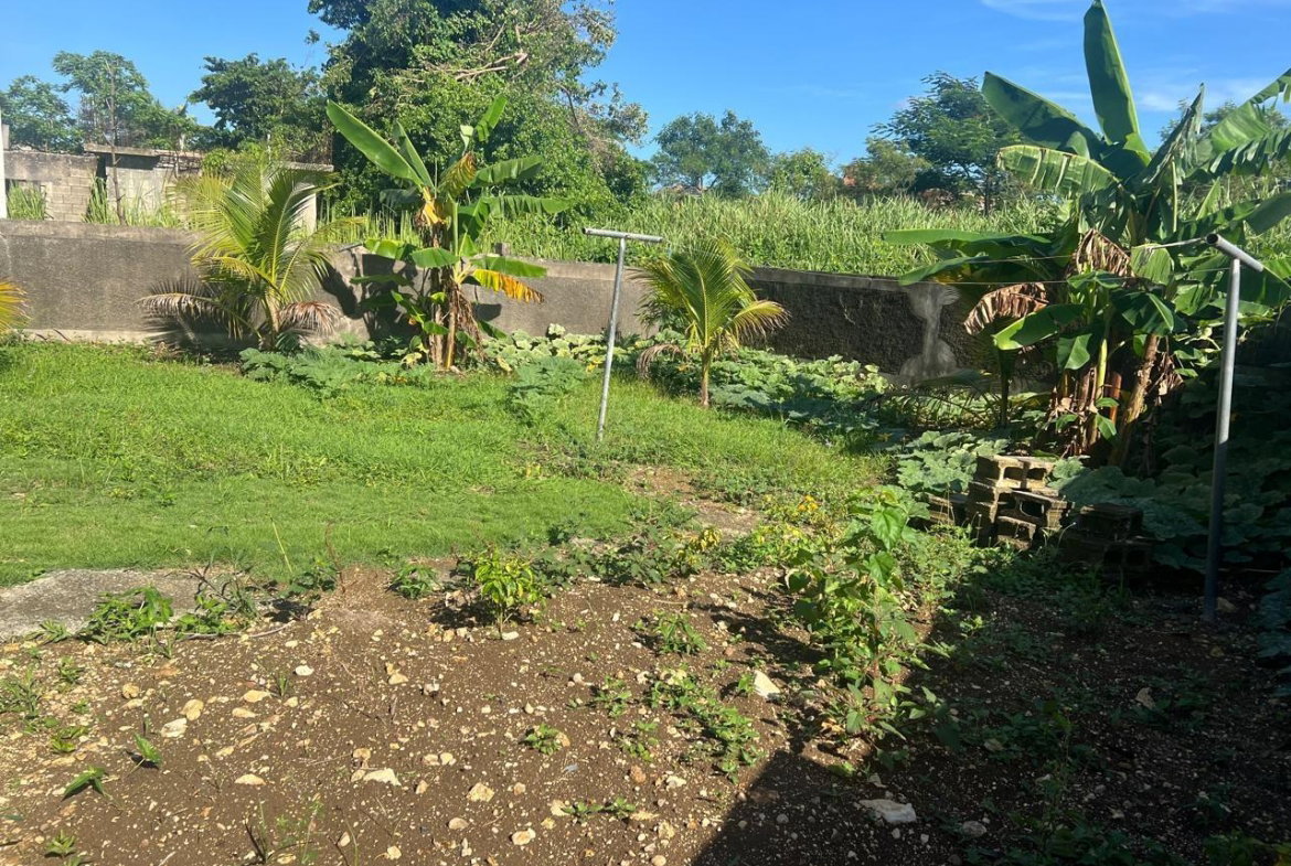 Ninth image of 887 Bogue Village, Agua Place in Bogue Village, St. James, Jamaica - property is For Rent