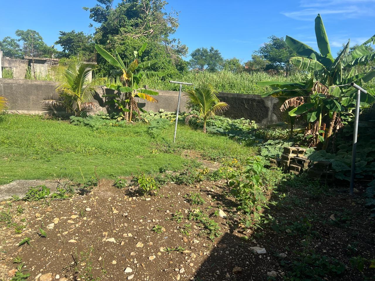 Ninth image of 887 Bogue Village, Agua Place in Bogue Village, St. James, Jamaica - property is For Rent