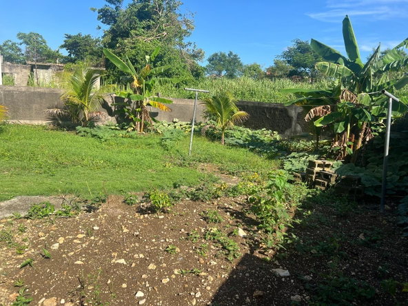 Ninth image of 887 Bogue Village, Agua Place in Bogue Village, St. James, Jamaica - property is For Rent