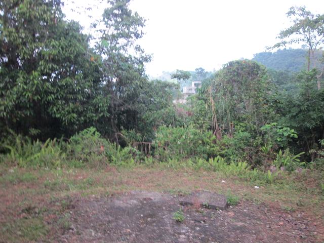 Eleventh image of Sligoville, St. Catherine in Sligoville, St. Catherine, Jamaica - property is For Sale