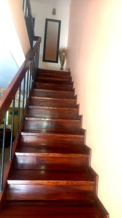Ninth image of 5 Kingsway in Kingston 10, St. Andrew, Jamaica - property is For Rent