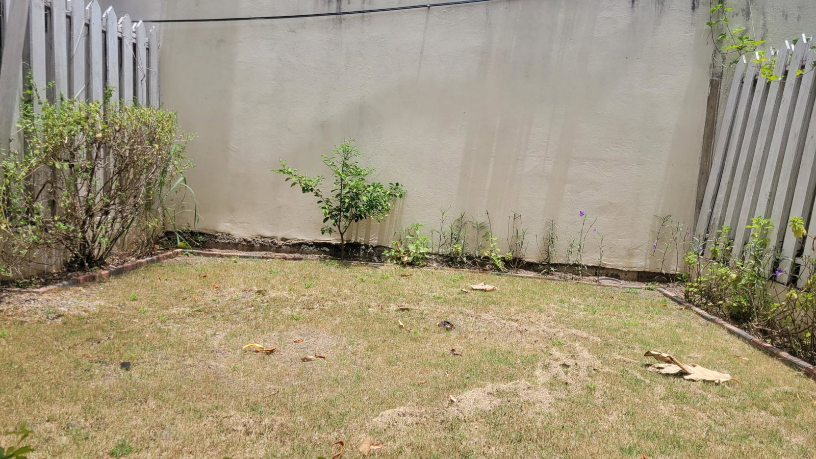 Twenty-Fourth image of 35-1 Michigan Avenue in Kingston 19, St. Andrew, Jamaica - property is For Rent