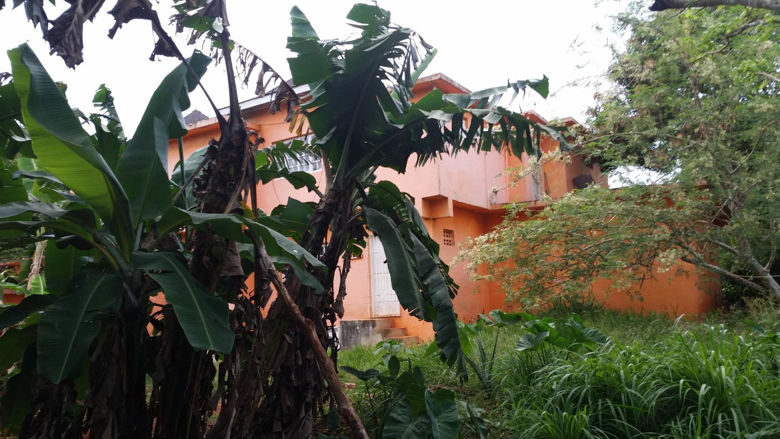 Twenty-Fourth image of 3 Huntley Road in Browns Town, St. Ann, Jamaica - property is For Sale