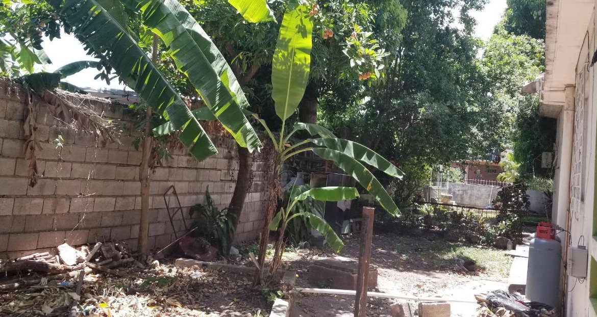 Seventeenth image of 7 Camperdown Terrace in Kingston 10, St. Andrew, Jamaica - property is For Sale