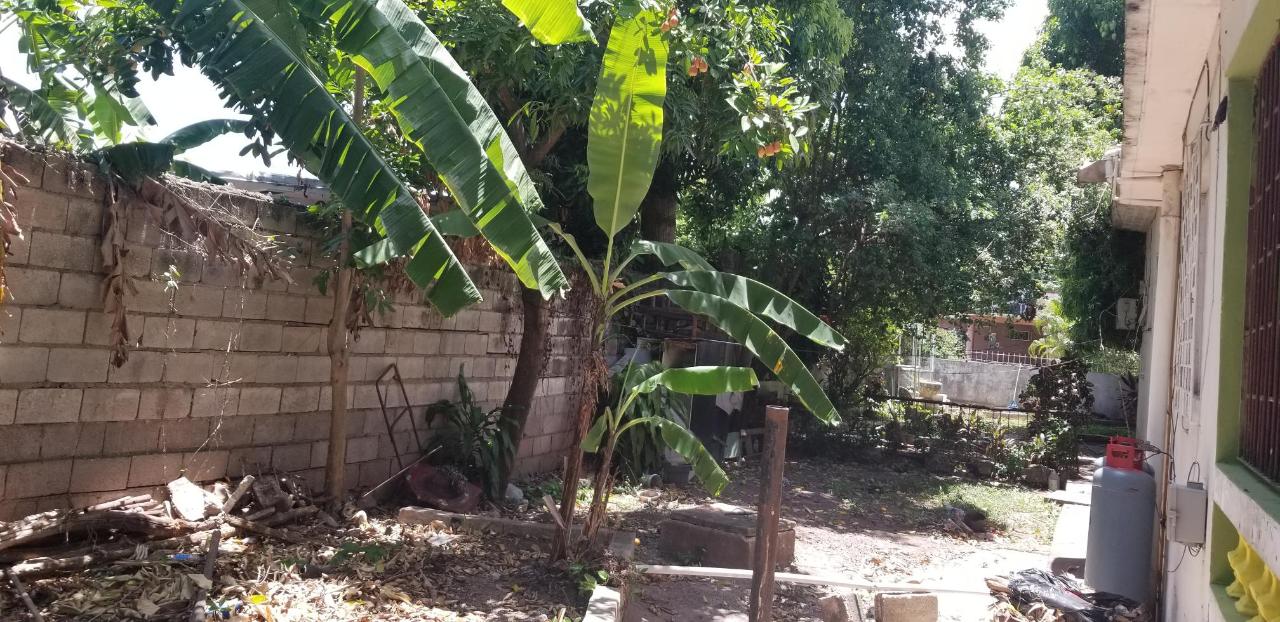 Seventeenth image of 7 Camperdown Terrace in Kingston 10, St. Andrew, Jamaica - property is For Sale