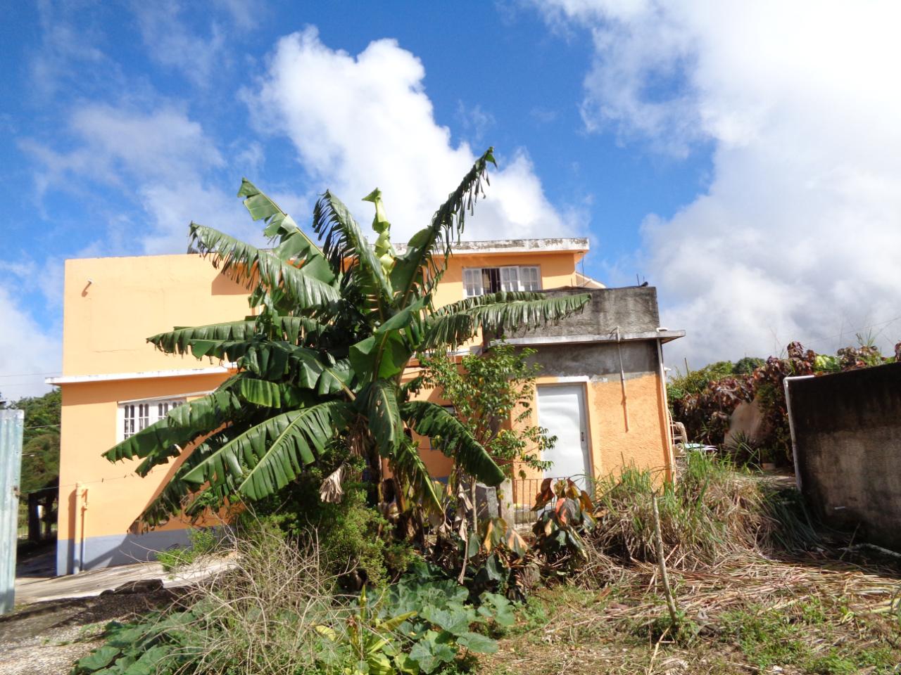 Sixth image of 6 Lillyfield in Bamboo, St. Ann, Jamaica - property is For Sale