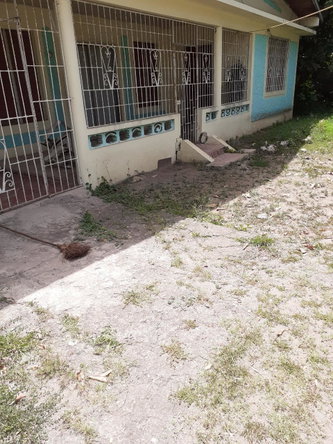 Fifth image of Lot 135 Foga Road in May Pen, Clarendon, Jamaica - property is For Sale